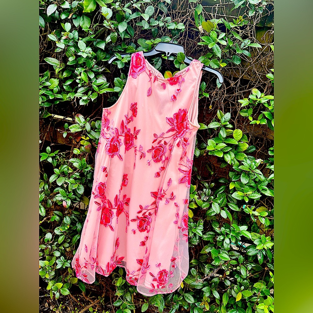 eci New York pink dress